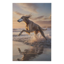 Elegante Saluki Leinwand - Seaside Sprint