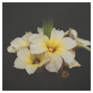Elegante Satin-Blume auf Schwarz Stoff