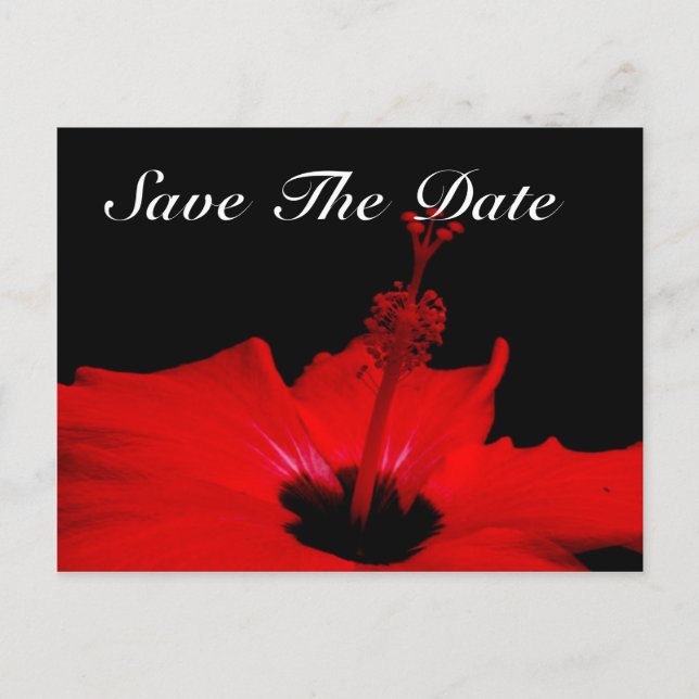 Elegante Save the Date Postkarte (Vorderseite)