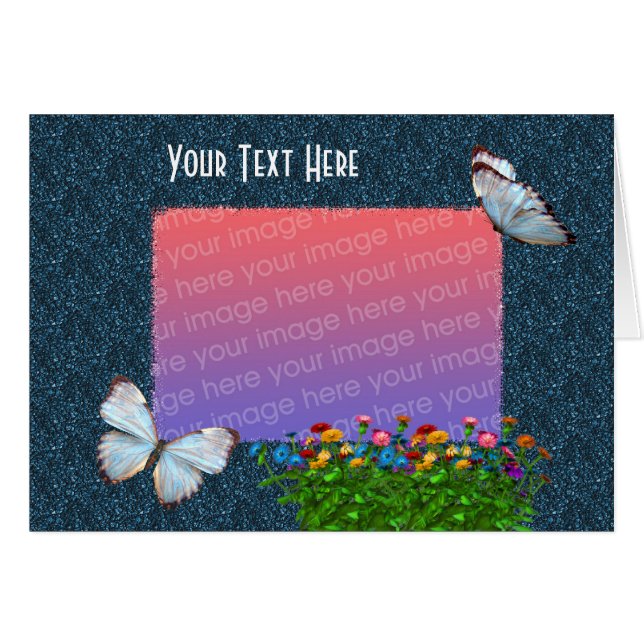 Elegante Schmetterlinge und Zinnia-Blume Foto (Vorderseite (Horizontal))