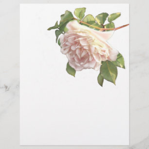 Elegante schöne errötende weiße elfenbeinfarbene r