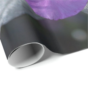 elegante, schöne Frühlings-Violett-Azaleen-Blumen. Geschenkpapier