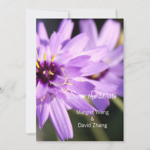 Elegante, schöne lila Gänseblümchen-Blume Merken S Save The Date