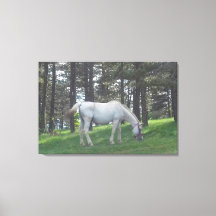 Elegante Schönes Weißes Pferd Original Kunst, Dich