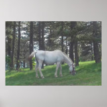 Elegante Schönes Weißes Pferd Original Kunst, Dich