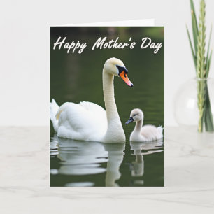 Elegante Schwan-Muttertagskarte Karte