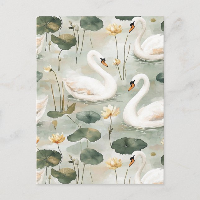 Elegante Schwäne Postkarte (Vorderseite)