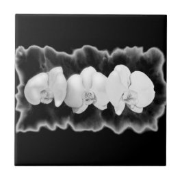 Elegante Schwarz-weiße Orchideen Fliese
