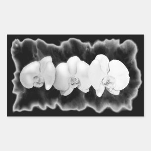 Elegante Schwarz-weiße Orchideen Rechteckiger Aufkleber