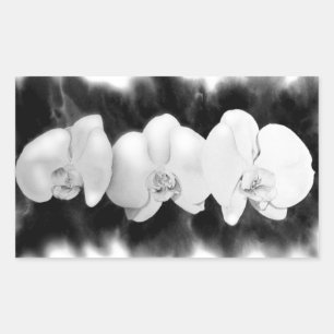 Elegante schwarze weiße Aquarell-Orchideen Rechteckiger Aufkleber