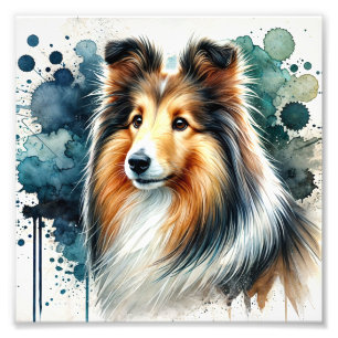 Elegante Shetland Sheepdog Fotodruck