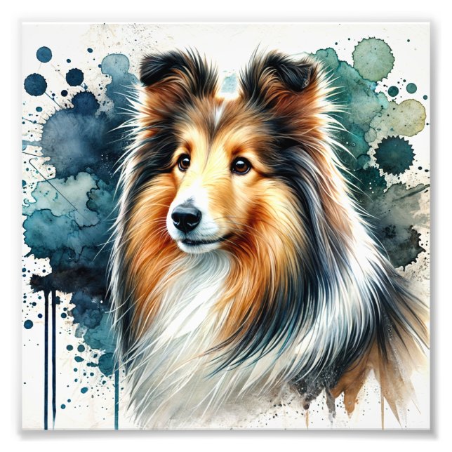 Elegante Shetland Sheepdog Fotodruck (Vorne)