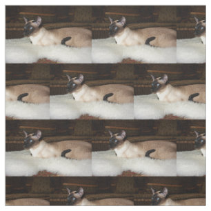 Elegante siamesische Katze Stoff