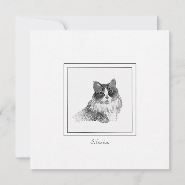 Elegante sibirische Katzen-Sketch in Kohle und Kal Mitteilungskarte (Vorderseite)
