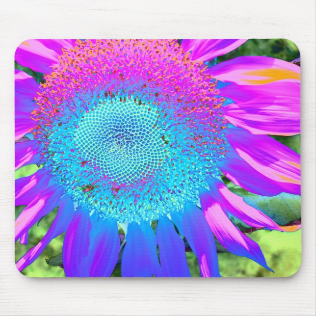 Elegante Sonnenblume lila rosa blühende Blüte Mousepad (Vorne)