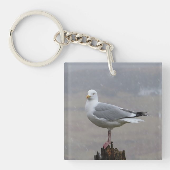 Elegante stehende Möwe Einzigartige Küste Schlüsselanhänger (Vorderseite)