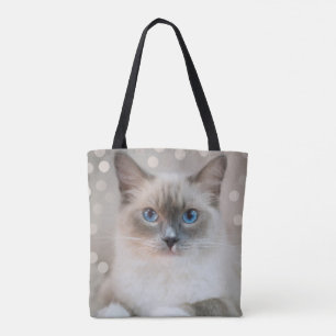 Elegante süße Ragdoll-Kätzchen