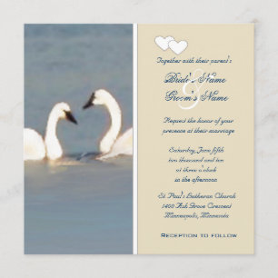 Elegante Swans Hochzeitseinladung Einladung