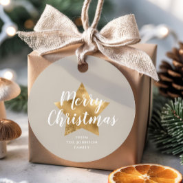 Elegante Taupe Gold Star Weihnachten Geschenkanhänger