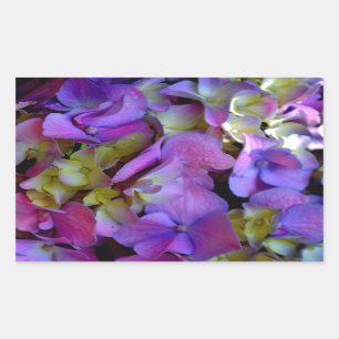 Elegante tief violett-rosa-magenta-farbene Hortens Rechteckiger Aufkleber