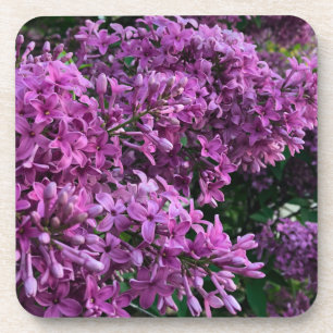 Elegante tief violette Magenta-Blumen Lilien Getränkeuntersetzer