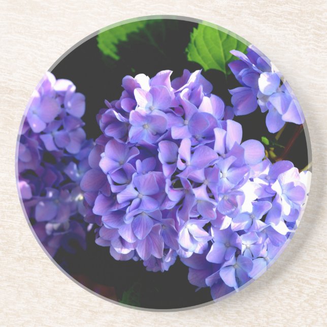 Elegante tiefe lila Blume Hydrangea Sandstein Untersetzer (Vorne)