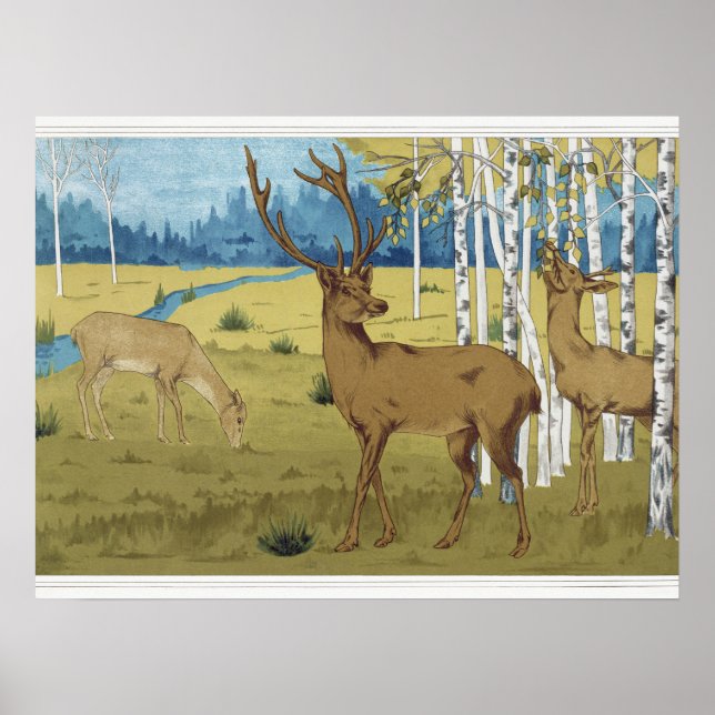Elegante Tierwelt Wilhelm Tell Poster (Vorne)