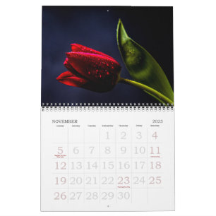 Elegante Tulip und Rose Floralische Blume Fotograf Kalender