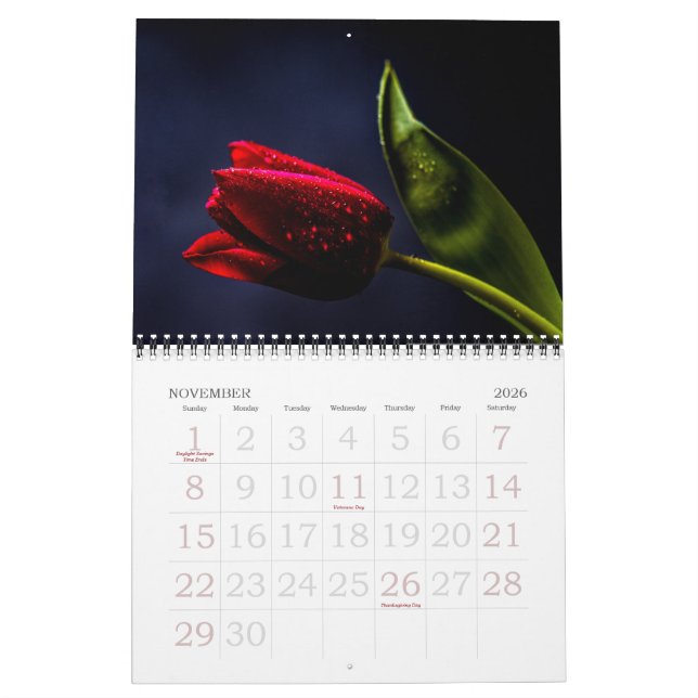 Elegante Tulip und Rose Floralische Blume Fotograf Kalender