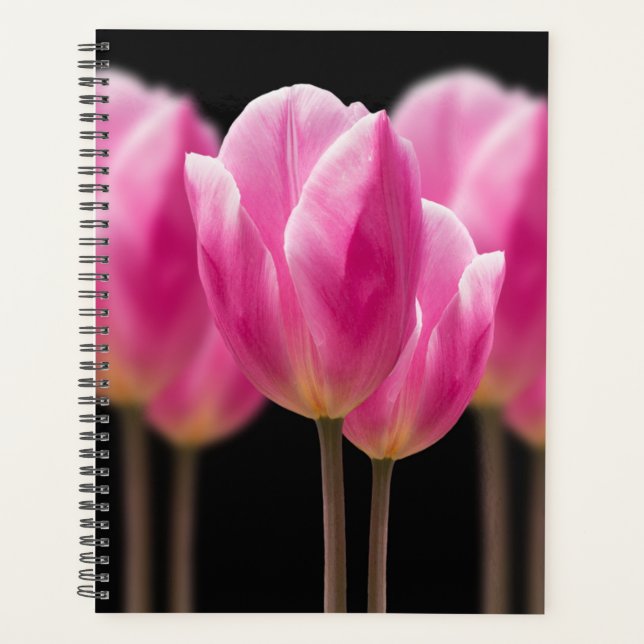 Elegante Tulip und Rose Floralische Blume Fotograf Planer (Vorderseite)