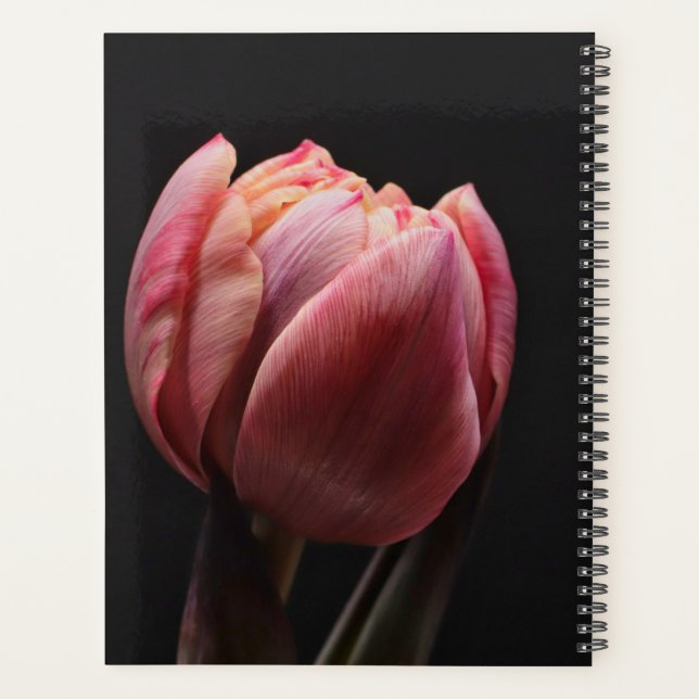 Elegante Tulip und Rose Floralische Blume Fotograf Planer (Rückseite)