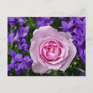 Elegante Tulpen- und Rosen-Blumenfotografie Postkarte