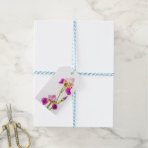 Elegante und botanische Schwertlilienblüte