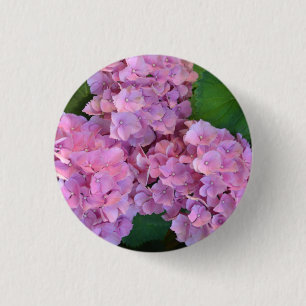 Elegante und rustikale Hortensie Hydrangea macroph Button