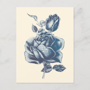 Elegante Vintag Blue Rose Postkarte