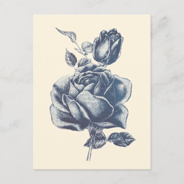 Elegante Vintag Blue Rose Postkarte (Vorderseite)