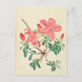 Elegante, Vintag rosa, florale Postkarte