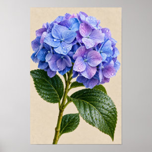 Elegante Vintage Blaue Hortensien-Blumen-Wandkunst Poster
