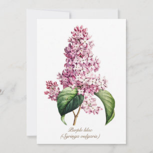 Elegante Vintage-Botanik-Lila-Fliederblüte Feiertagskarte