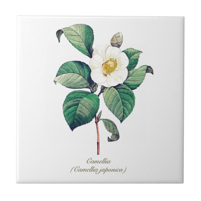 Elegante Vintage Botanische Blume Fliese (Vorderseite)