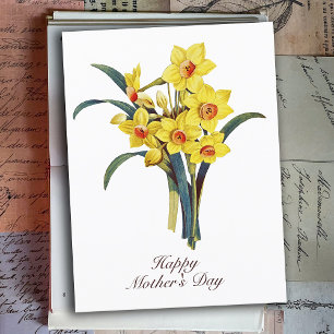 Elegante Vintage botanische Blume Gelbe Daffodien Postkarte