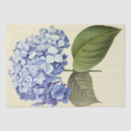 Elegante Vintage botanische Hydrangea-Blume Seidenpapier