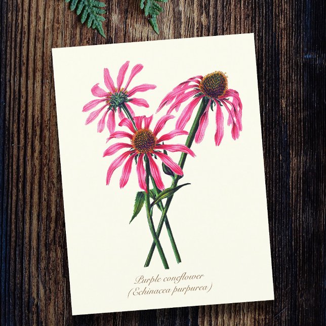 Elegante Vintage botanische Lila Blüte Postkarte (Von Creator hochgeladen)