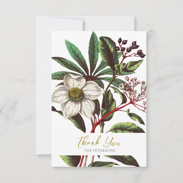 Elegante Vintage botanische Rose Blume Dankeskarte (Vorderseite)