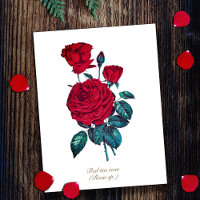 Elegante Vintage botanische Rote Rose