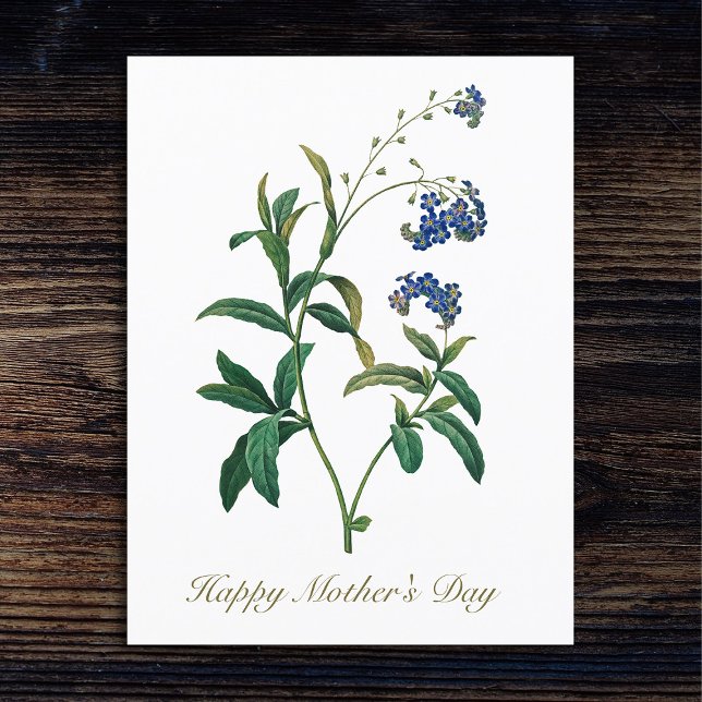 Elegante Vintage botanische Vergessen Sie mir nich Postkarte (Von Creator hochgeladen)