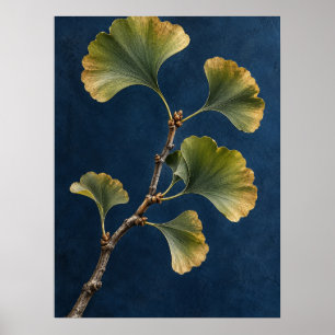 Elegante Vintage-Ginkgo-Biloba-Botanik-Wandkunst – Poster