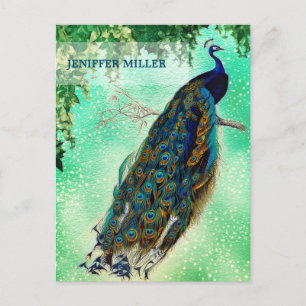 Elegante Vintage-Pfauen-Kunst Postkarte