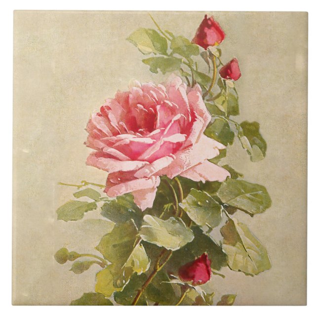 Elegante, Vintage Rosa Rosen Fliese (Vorderseite)