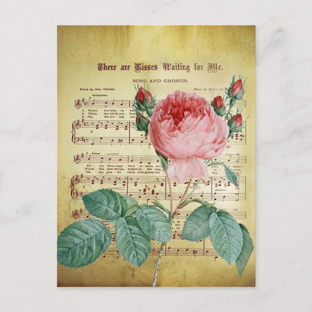Elegante Vintage Rose Antiquitätenschild-Musiknote Postkarte (Vorderseite)